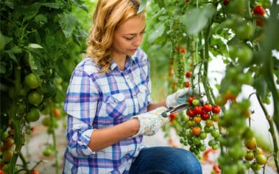 FIRMAN ACUERDO DE COOPERACIÓN CON ALEMANIA PARA TRANSFORMACIÓN DE SECTOR AGRÍCOLA